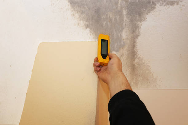 Best Forensic Mold Investigation  in Oak Hills, PA