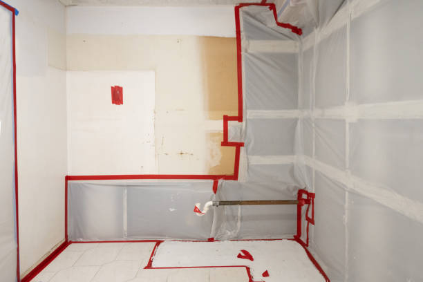 Best Mold Removal for HVAC Installations  in Oak Hills, PA