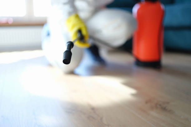 Best Crawl Space Mold Remediation  in Oak Hills, PA