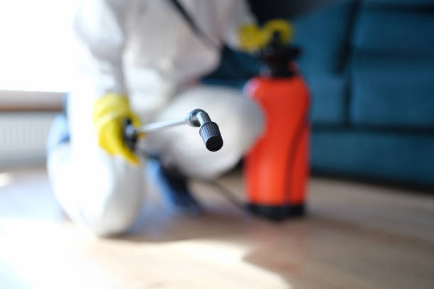 Reliable Oak Hills, PA Mold Removal Solutions