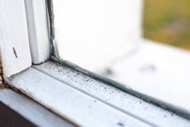 Best Dehumidification Services  in Oak Hills, PA