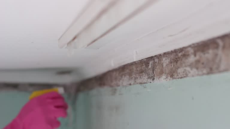 Best Airborne Mold Testing  in Oak Hills, PA